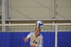 Wheaton Women's Volleyball  Wheaton Women's Volleyball vs Bridgewater State University. : Wheaton, Volleyball, BSU, Bridgewater State College